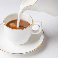 Vaisselle en Porcelaine Fine Blanche avec Bord Doré pour Hôtels et Restaurants – Assiettes et Plats en Céramique de Chine Fine – Vente en Gros