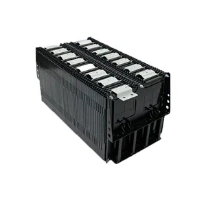 Lisha 64V 60V 100Ah Golf Cart Battery Build In BMS LiFePO4 51.2V 100Ah 76.8V 100Ah 48100 60100 72100 2P20S