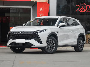 2025 para COWIN High Original Version 1,5 T 7 asientos - Product Image 3