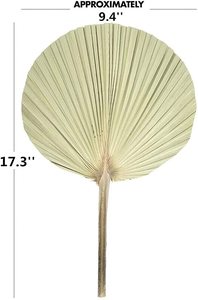 Gros Offre Spéciale Artificielle Naturel Séchés Transformés Feuilles De <span class=keywords><strong>Palmier</strong></span> <span class=keywords><strong>Sèche</strong></span> Ventilateur <span class=keywords><strong>Feuille</strong></span> Blanchis Pour De Mariage Arrangement floral Décoration - Product Image 2