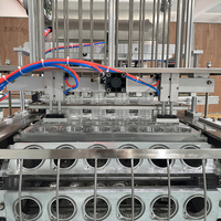 Nouvellement développé avec la fonction de lavage de tasse Machine de remplissage et de scellage de tasse d'eau minérale Machine de remplissage de tasse de glaçon