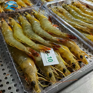 Bán Sỉ Tôm Scampi Tôm Đông Lạnh Chất Lượng Cao Nhân Tạo Giá Tôm Scampi Trắng - Product Image 3