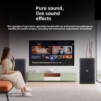 Sistem Audio Panggung Profesional Skala Besar D12-Inch Neodymium Speaker Berdaya Tinggi untuk Tempat Hiburan & Bar 400W 129dB