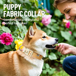 Kalung Anjing Anti Hilang, Empuk, Dapat Disesuaikan, Bahan Poliester Tahan Lama dengan Cetak Kustom, Dilengkapi Gesper, Kalung Hewan Peliharaan yang Dipersonalisasi - Product Image 3