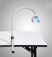 Lampe de blanchiment dentaire professionnelle pour salon, certification CE, ampoules LED bleues froides, garantie 1,5 an, conçue pour table