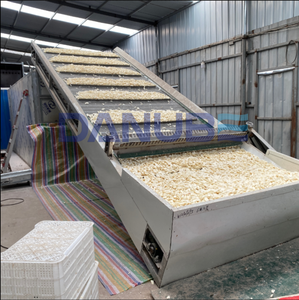 Continuous Mesh Belt <b>Drying</b> Machine Automatic Conveyor Type Agricultural Food Dehydrator <b>Equipment</b> - Product Image 2