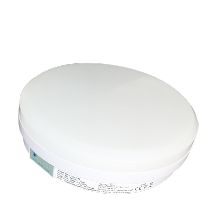 ceiling light rechargeable