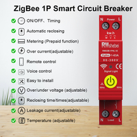 RMshebei Disjoncteur Zigbee MCB1Phase Compteur d'électricité intelligent pour la maison Produits pour la maison intelligente Télécommande de téléphone portable