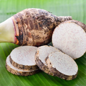 Raíz de Taro Productos de calidad superior para la industria y las ventas minoristas Tamaño constante Satisfacción del cliente - Product Image 5