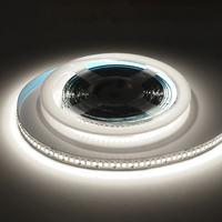 Penjualan Terbaik SMD2835 lampu Strip LED 6000K Ra80 siang hari USB IP20 5 tahun garansi 120LEDs/m DC12V/24V dalam dan luar ruangan