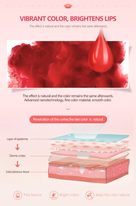 Pigments de <span class=keywords><strong>tatouage</strong></span> de ton naturel | Encre PMU pour sourcils et lèvres | OEM et approvisionnement en vrac - Product Image 4
