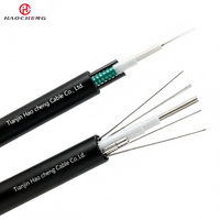 Câble à fibres optiques GYXTW 1 2 3 km blindé 4 6 8 12 24 48 cœurs Gyxtw GYTA GYTS G652D 657A