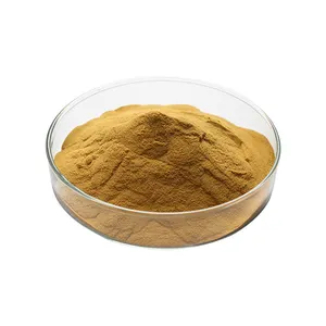 Radix Angelicae Sinensis Extract, Natuurlijke Radix Angelicae Dahuricae Extract