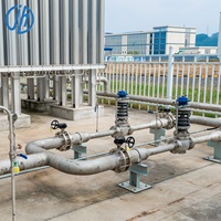 Accessoires complets pour installation d'oxygène 165 Nm³/h pour le traitement des boues de haute performance  Aération efficace