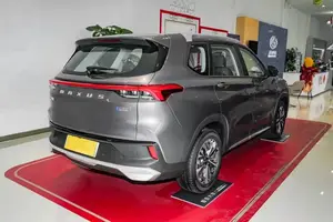 장거리 새로운 에너지 전기 스마트 SUV 170 km/h 성인 전기 자동차 everbright LED 저렴한 판매