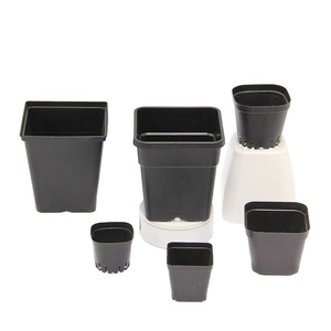 5.5cm 6cm 7cm 9cm 10cm 14cm best small black square flower seeding pot cheap price plastic plant nursery pot from china