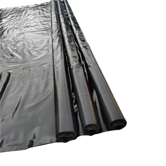 Modern Design HDPE Geomembrane for Pond Dam Liner 1mm EPDM PVC LLDPE EVA Fish Farm Aquaculture Liner Outdoor Pond Fish Pond Use