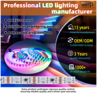 Tira de Luz LED Inteligente Programable y Direccionable DMX, Iluminación de Paisaje USB, SMD5050 RGB RGBW 3500K IP67 Impermeable Multicolor