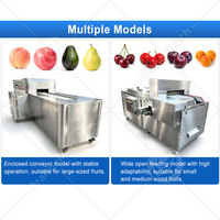 ORME Fruitpitverwijderingsmachine Jujube Abrikoos Pruimenpitverwijderaar Perzikpit Kersenontpitter Machine