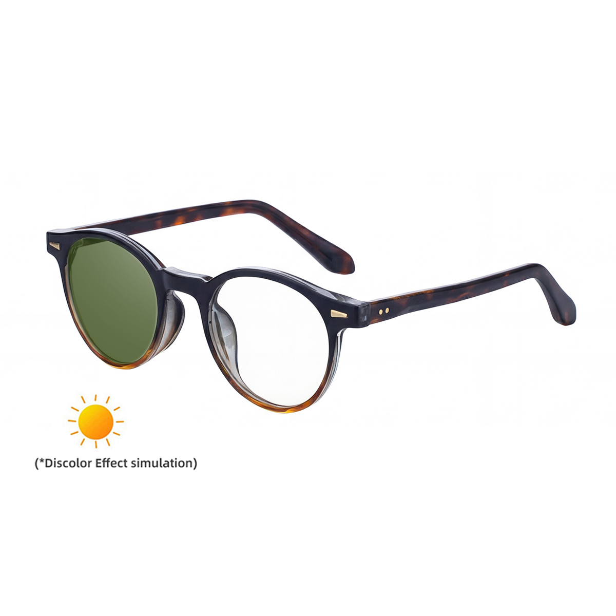 C4 Black Brown Tortoise Turn Green