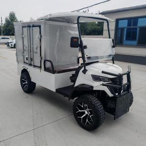 Carrito de Golf Personalizable con Luces LED y Toldo, Servicio de Marca Gratuita, Carrocería Duradera de ABS para Parques Temáticos y Alquileres - Product Image 4
