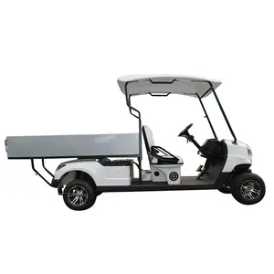 Hot Sale 2 Seats Electric Eec Closed 5kw Lithium Battery Golf Cart With Cargo Box