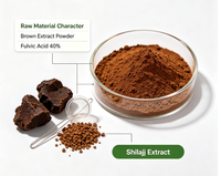 Extrait de Shilajit 40 % Acide Fulvique Source Minérale Matière Première pour Formulation avec COA Échantillon Biologique Disponible