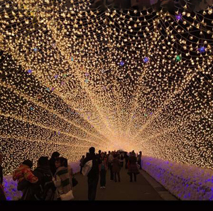RS-LD20 Decorative <strong>Christmas</strong> Large LED <strong>Arch</strong> LED 3D Motif <strong>Light</strong> - Product Image 3