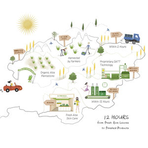 Reines Bio-<span class=keywords><strong>Aloe</strong></span>-Vera-Gel, feuchtigkeitsspendend, beruhigend, Anti-Aging, Akne-eliminierend und reparierend, Gesichtsreinigung, 45g - Product Image 4