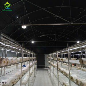 هيكل إطار نفق كبير تجاري قابل للسبل سقف تعتيم آلي ضوء حرمان فطر دفيئة للأعشاب - Product Image 5