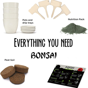 Cadeau <span class=keywords><strong>de</strong></span> noël bricolage adulte enfant artisanat pousse <span class=keywords><strong>intérieur</strong></span> 4 germes Types germer cadeaux Kit <span class=keywords><strong>de</strong></span> <span class=keywords><strong>d</strong></span>émarrage bonsaï - Product Image 3