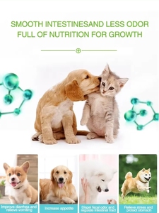 Alivio de gases, mal aliento, diarrea, estreñimiento y soporte digestivo, enzimas digestivas, suplemento de probióticos prebióticos para gatos - Product Image 4