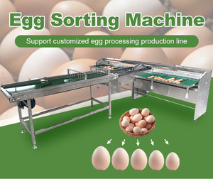 Công nghiệp trứng phân loại gia cầm gà trứng trọng lượng phân loại phân loại máy 15000 TRỨNG MỖI giờ thiết bị nuôi trứng học sinh lớp - Product Image 3