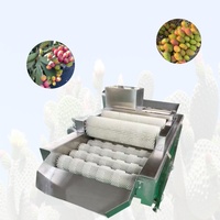 Hete Verkoop Stekelige Peer Doorn Verwijdering Machine Nopal Fruit Dethorning Machine Cactus Dethorning Machine