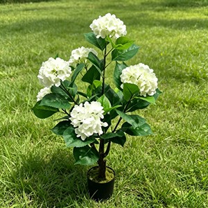 Hortensia blanc texturé doux et luxueux avec des têtes de fleurs en grappe pour toile de fond de mariage, chambre, café, style pur et frais - Product Image 5