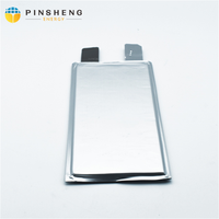 Pinsheng cycle profond 10Ah 15Ah 20Ah 24Ah 26Ah 28Ah LFP cellules au lithium-ion rechargeables cellule de poche pour voiture EV