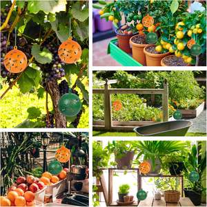 Ловушка для насекомых из твердой бумаги, экологичная, для плодовых мушек, липкая ловушка, одноразовая, для улицы, от ос, пчел и других вредителей - Product Image 6