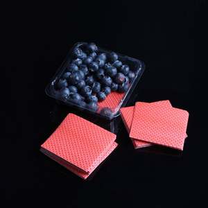 Almohadillas Absorbentes de Agua Desechables de Grado Alimenticio de Alta Calidad de 76*76 mm para Frutas y Verduras - Product Image 1