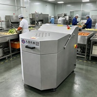 Essoreuse centrifugeuse pour salades, fruits et légumes avec couvercle en acier inoxydable pour robots culinaires