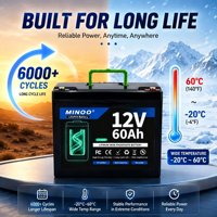 Paket Baterai LiFePO4 12V 48V, Didukung OEM, Baterai Lithium untuk Proyek Penyimpanan Energi Komersial, Catu Daya Industri