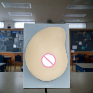 Modelo <span class=keywords><strong>de</strong></span> Anatomía del Seno Izquierdo - Tejido Blando con 3 Patologías Integradas, Técnicas <span class=keywords><strong>de</strong></span> Autoexamen, Modelo Básico <span class=keywords><strong>de</strong></span> Anatomía Humana para Enfermería - Product Image 3