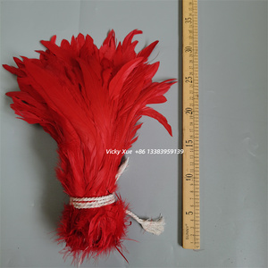 Plumas de Cola de Gallo Teñidas de Rojo para <span class=keywords><strong>Disfraz</strong></span> de Carnaval y Accesorios de Tocados de Plumas para <span class=keywords><strong>Mujer</strong></span> DIY - Product Image 2