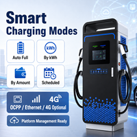 Station de recharge rapide DC pour véhicules électriques 160 kW à double connecteur, écran tactile 7 pouces IP55 pour flotte, fabricant OEM ODM, fournisseur