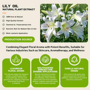 Óleo de Flor de Lírio 100% Puro e Natural Óleos Essenciais de Qualidade Premium para Cuidados com a Pele e Cabelo Antibiótico Antidepressivo pelo Melhor Preço - Product Image 2