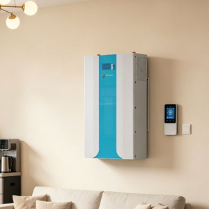 Высокотоковый аккумуляторный блок LiFePO4 51.2В 200Ач 10240Втч Smart с Wi-Fi, IP44, для хранения солнечной энергии - Product Image 1