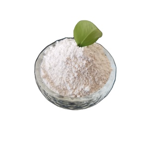 แคลเซียมคาร์บอเนต ผงสีขาว ความบริสุทธิ์ 98% เกรดอุตสาหกรรม CaCO3 CAS 471-34-1 ได้รับการรับรองมาตรฐาน ISO ขนาด 10000 เมช สำหรับใช้เป็นปุ๋ย บรรจุภัณฑ์ขนาด 25 กิโลกรัม - Product Image 1