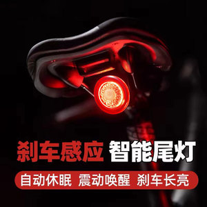 Luz trasera para bicicleta, luz Led intermitente, resistente al agua, recargable, con batería integrada, luz trasera para bicicleta de montaña y carretera - Product Image 3