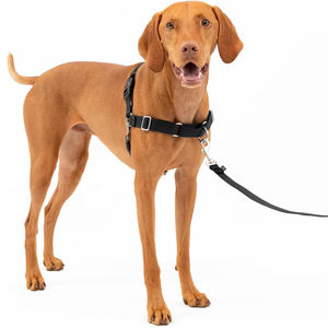 Rompi nilon tanpa tarikan anjing warna polos, rompi nilon bentuk L dapat diatur mudah digunakan untuk hewan peliharaan kecil sedang - Product Image 3