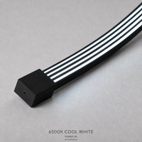 Bande lumineuse LED anti-éblouissement à montage en surface, blanc froid 6500K, AC230V, 8,5W par mètre, SMD2022, boîtier noir, NEON FLEX