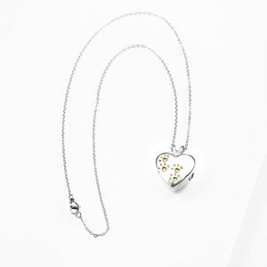 Pet <b>Ash</b> Memorial Stainless Steel Pet Paw Pet Cremation Jewelry Memorial <b>Ashes</b> Keepsake Urn <b>Necklace</b> - Product Image 5